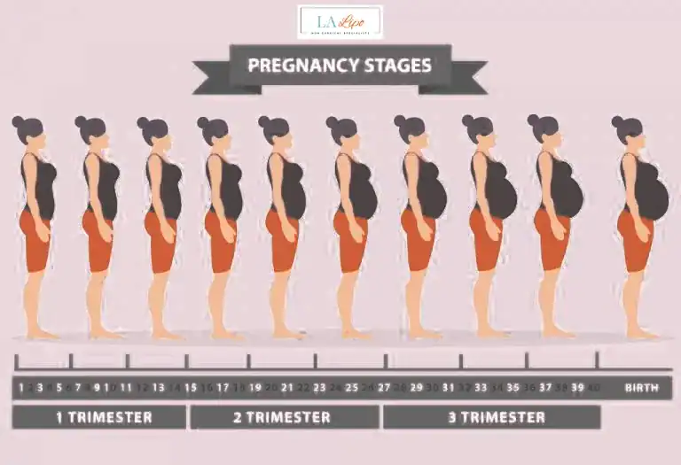 First Trimester (Weeks 1–12): Early Changes You Might Not Notice Woking